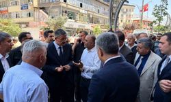 Bakan Yardımcısı Ali Çelik'e Hakkari'de sevgi seli
