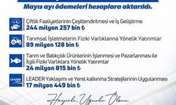 Bakan Yumaklı: 'Kırsalda üretim yapan girişimcilerimize mayıs ayında toplam 375,6 milyon lira hibe ödemesi gerçekleştirdik'