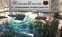 Balıkesir'de jandarmadan uyuşturucu serasına çevrilen evlere baskın: 12 gözaltı