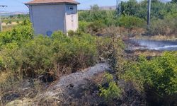 Balıkesir'de ot yangını korkuttu