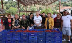 Başkan Tetik, Aşağı Yakacık'ta vatandaşlarla buluştu