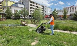 Belediye ekiplerinden yaz temizliği