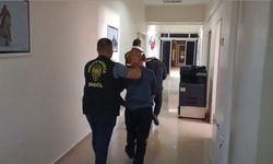 Bingöl'de hırsızlık operasyonu: 1 tutuklama