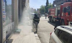Bodrum katta çıkan yangında 4 kedi son anda kurtarıldı