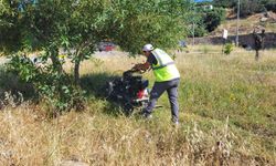 Bodrum'da ot temizliği çalışmaları tüm hızıyla devam ediyor