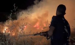 Buğday tarlasında korkutan yangın