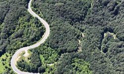 Bursa ormanlarında kartpostallık görüntüler