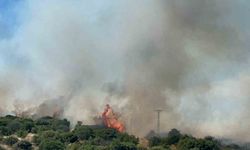 Çanakkale'de bozuk orman sahasında yangın