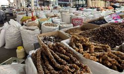 Çermik kuruyemiş pazarına yoğun ilgi