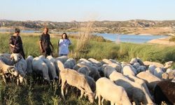 Çobanlık yaparken 2 dil öğrendi, üniversiteyi birincilikle bitirdi