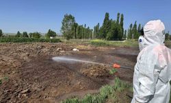 Çorum Belediyesi vektörel mücadeleyi aralıksız sürdürüyor