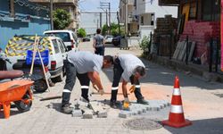 Darıca'da 100 kişilik ekiple yaz temizliği sürüyor