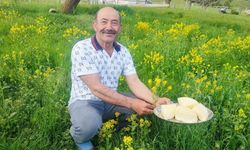 Dedelerinden kalan mirası yaşatıyorlar: Yaylada hayat başladı