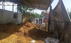 Dörtyol'da samalık yangını