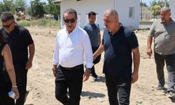 Efeler Belediyesi'nden sokak hayvanları için yeni yaşam alanı