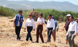 Ekinanbarı'nda üreticinin yükünü hafifleten destek