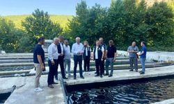 Eşen Havzası'ndaki Alabalık tesislerinde sektör değerlendirmesi