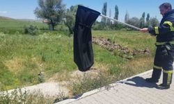 Eve giren yılanı itfaiye yakaladı