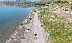 Hazar Gölü'nde dev temizlik 12 ton atık toplandı