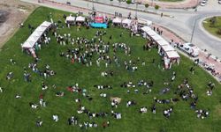 Hitit Üniversitesi'nde 'Fest '26' coşkusu