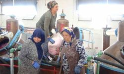 Isparta'nın pembe hazinesi: 4 ton gülden elde edilen yağın kilosu 12 bin avroya alıcı buluyor