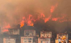 İzmir'de makilik alandaki yangın kontrol altında