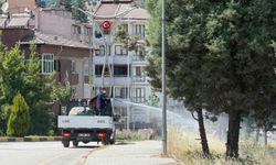 Karabük'te sinek ve haşereyle mücadele çalışmaları sürüyor