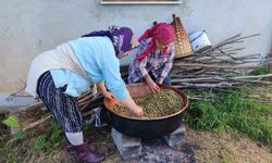 Karadeniz'de dut pekmezi mesaisi başladı: Kazanlar şifa için kaynıyor