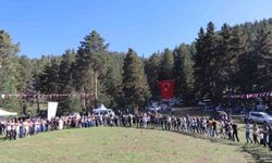 Karnavas Dut Pekmezi Festivali'nde çocuklar parmakla pekmez yemek için yarıştı