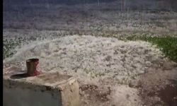 Kars'ta gece yarısı dolu kabusu: Vatandaşlar panikle kameraya sarıldı