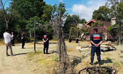 Kemer'de kaçak bungalov yapılar yıkıldı