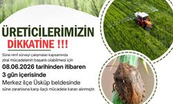 Kırklareli'nde süne alarmı: Üreticilere 3 günlük ilaçlama çağrısında bulunuldu