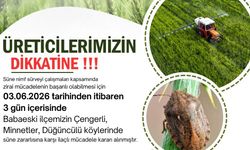 Kırklareli'nde süne zararlısına karşı ilaçlama uyarısı