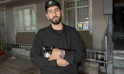 Küçükçekmece'de 7'inci kattan düşen kedi şemsiye ile kurtarıldı
