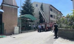 Kütahya'da ağaca takılan serçe itfaiye ekiplerince kurtarıldı