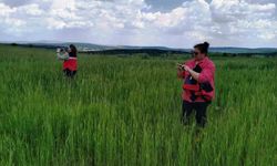 Kütahya'da saha kontrolleri ve veri giriş işlemleri aralıksız sürüyor