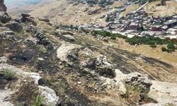 Mardin'de ormanlık alanda çıkan yangın söndürüldü