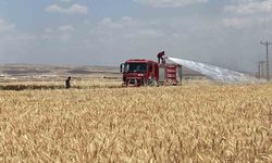 Mardin'de yaklaşık 300 dönüm ekili alan alevlere teslim oldu