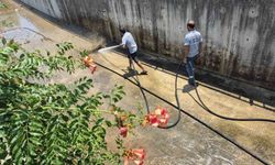 Marmaris Belediyesi'nden derelerde temizlik mesaisi