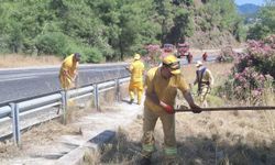 Marmaris'te orman yangınlarına karşı yol kenarlarında yoğun mesai