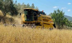 Menteşe'de biçerdöverlere sıkı denetim