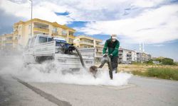 Mersin'de sinek ve haşerelere karşı yoğun mesai