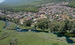 Muğla'ya yurt dışından 8 bin 139 kişi göç etti