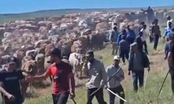 Muş'ta iki köy arasında 'arazi' kavgası: 2 yaralı