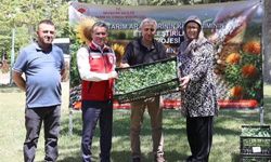 Nevşehir'de üreticilere yüzde 75 hibeli karnabahar ve brokoli fidesi dağıtıldı
