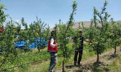 Niğde'de dolu ve sağanak tarım arazilerine zarar verdi