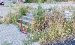 Otluk alana dönen bu park bakım ve temizlik bekliyor