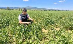 Planlı tarımsal üretim için saha çalışmaları sürüyor