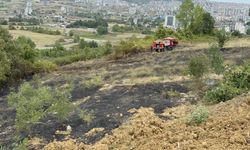 Samsun Valiliğinden orman yangınları ve rip akıntısı hakkında uyarı
