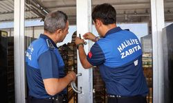 Şanlıurfa'da mide bulandıran görüntüler